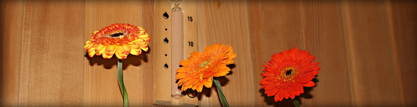 Hotel Badenweiler Hof Sauna