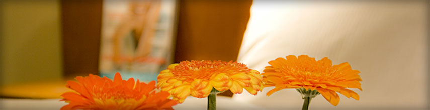 Hotel Badenweiler Hof Appartement Preise