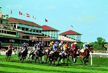 horse race track