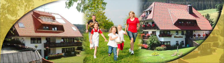 Bannerbild
