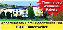 Ferienwohnung Schwarzwald Badenweiler - Hof