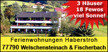 Ferienwohnung Schwarzwald Kinzigtal Welschensteinach Fischerbach