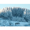 winterliches Panorama