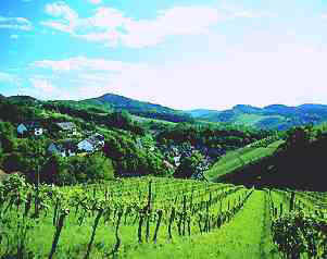 landschaft
