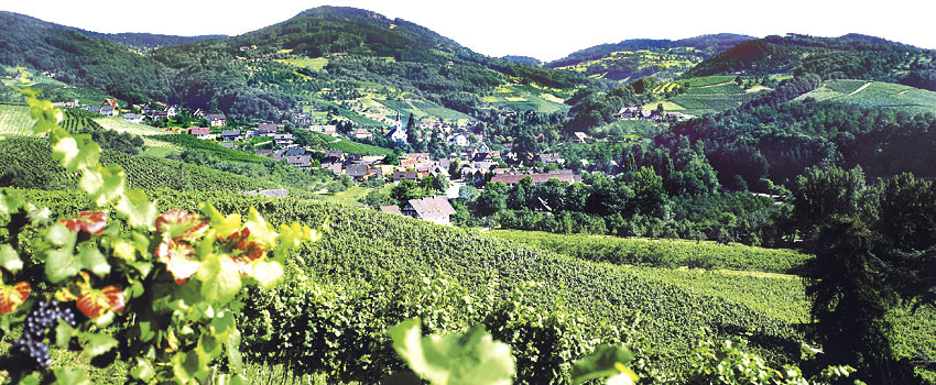 Ferien Ort Sasbachwalden