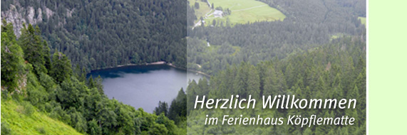 Bannerbild