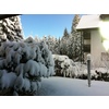 Winter im Garten Haus FREY