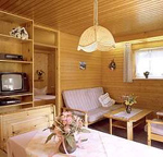 Appartment Herzogenhorn