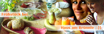 schnäppchen ferienwohnung haus am brünnle